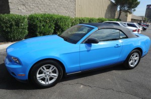 mustang01
