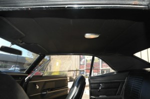 Picture 11