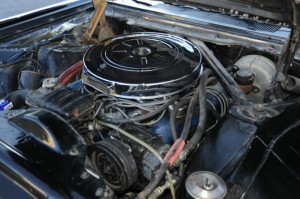 $(KGrHqJ,!qgFD+gGjRFCBRM8zPWwwg~~60_3