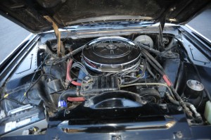 $(KGrHqR,!lgFELguHEUHBRM8zJHIGw~~60_3