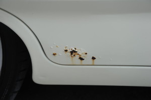 T2eC16V0E9s37GGnLBRkULGUHw60_3