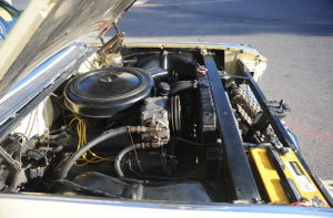 Picture 10