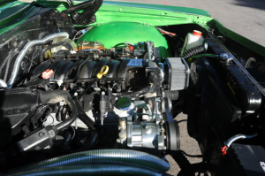 Picture 15
